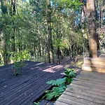 Casa En El Bosque Valdiviano