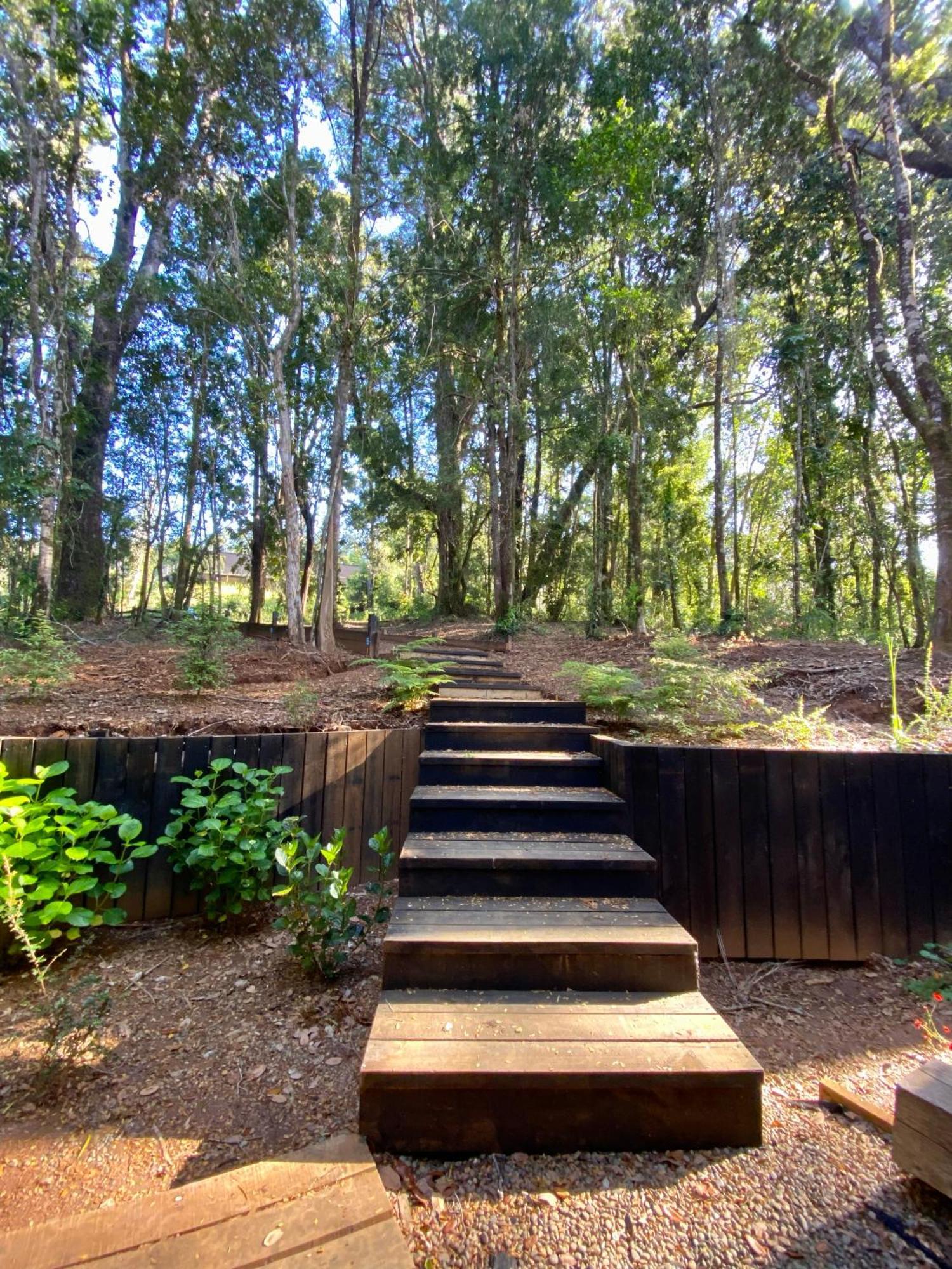 Casa En El Bosque Valdiviano *
